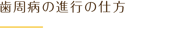 歯周病の進行の仕方